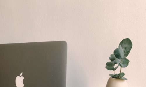 Everything You Need To Know About goLance